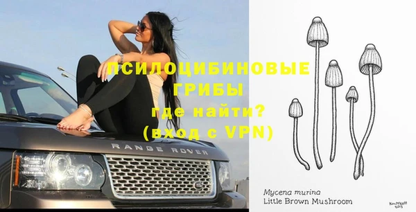 меф Долгопрудный