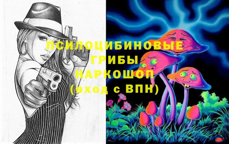 магазин    Дно  Галлюциногенные грибы Magic Shrooms 